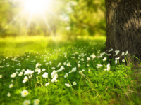 Are Your Eyes Sensitive to Light?