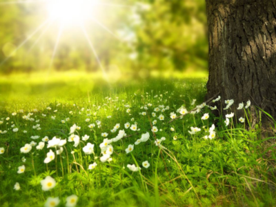 Are Your Eyes Sensitive to Light?