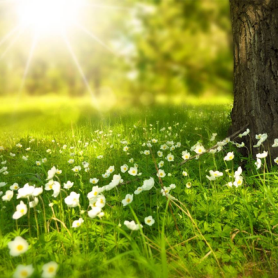 Are Your Eyes Sensitive to Light?
